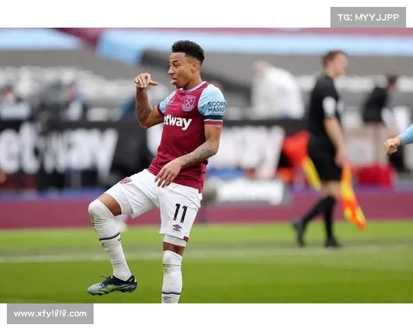 林加德被调侃现象的社会心理与文化背景深层解析