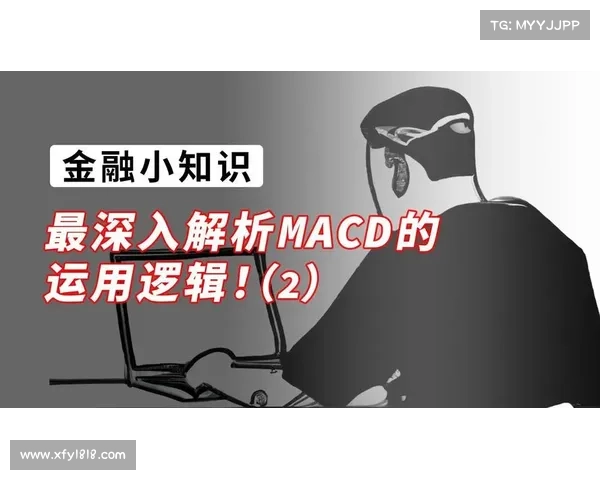 深入解析法国对阵波兰的2023年赛事表现与关键数据对比概述全